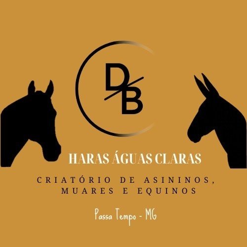 Haras Águas Claras